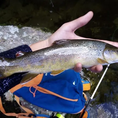 Chalet 6b Dans Les Pyrenees Proche D'andorre