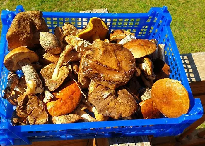 Σαλέ 6b Dans Les Pyrenees Proche D'andorre LʼHospitalet-près-lʼAndorre